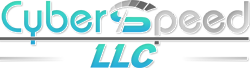 Cyberspeed IT Services FZ-LLC — Dubai Digital Growth Agency